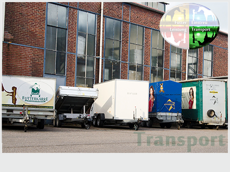 start-buttom-transport-4